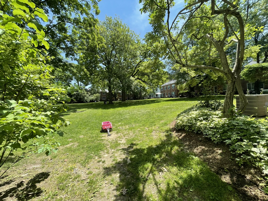 Cover for Two weeks in Boston, Cambridge, Brookline